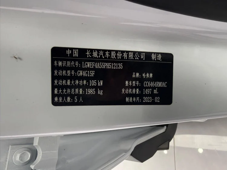 ef39fec7-1e07-4304-9346-f1989caedc3a-havalh622.jpg